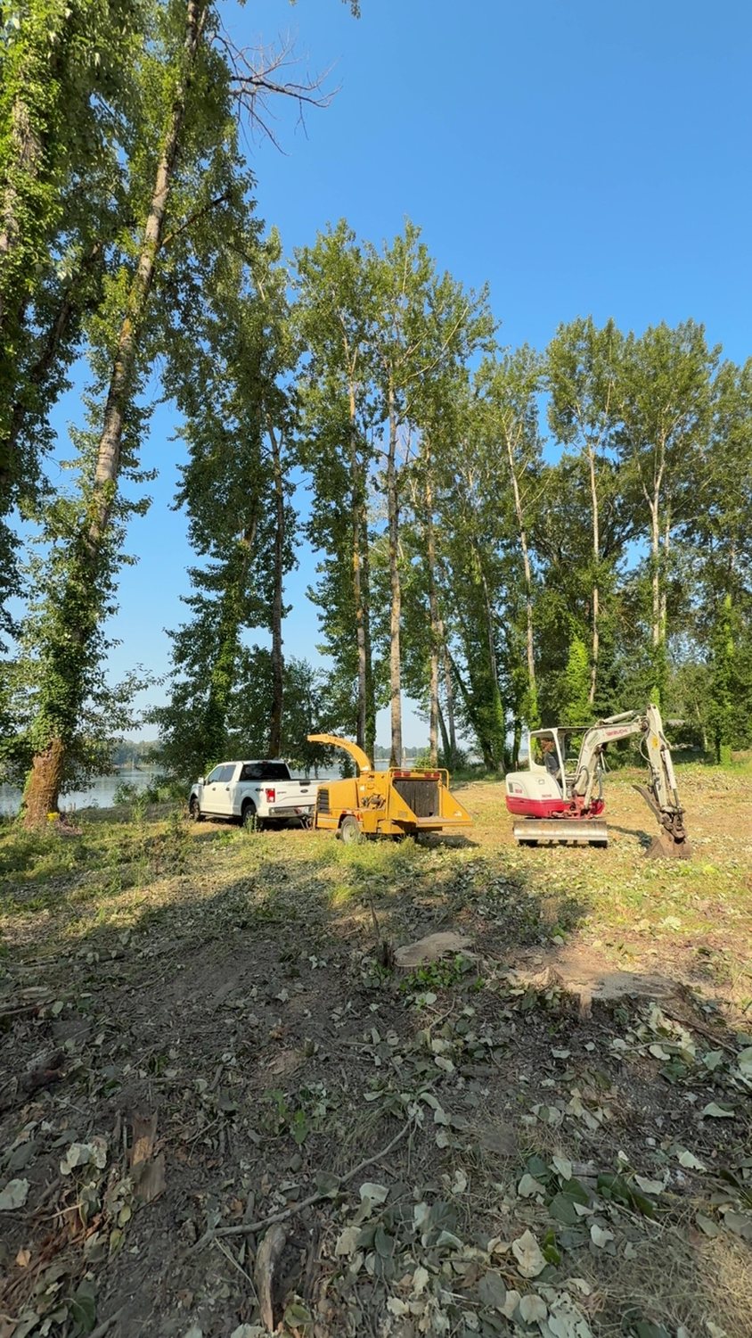 Tree service equipment staged at a wooded job site